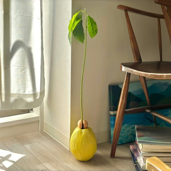 Contemporary Ceramic Pomelo Bud Vase - Global Inspired Artistic Round Decor for Living Room, Study, Dining, Weddings, Parties - Unique Cylinder Tabletop Vase